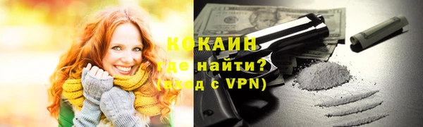 индика Абаза