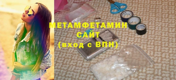 индика Абаза