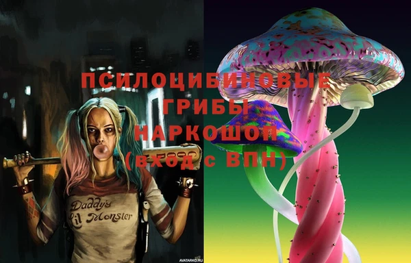 МДМА Алексеевка