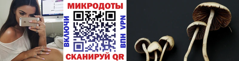 даркнет сайт  OMG ТОР  Псилоцибиновые грибы GOLDEN TEACHER  Котельнич 